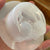 Potter Mould #6