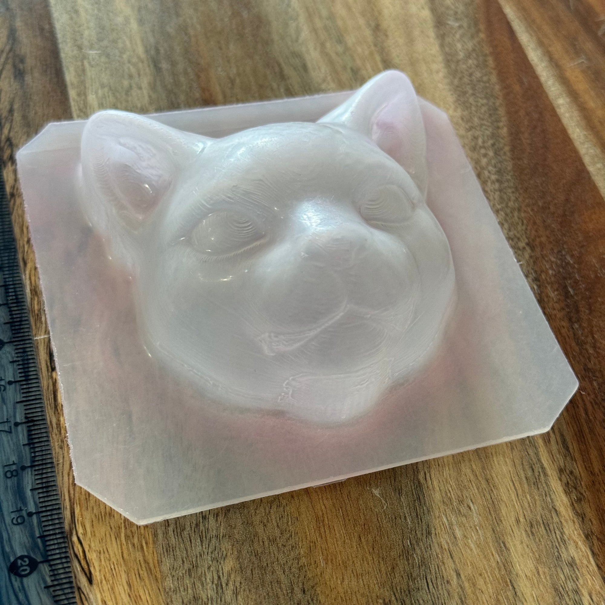 Cat Mould #194