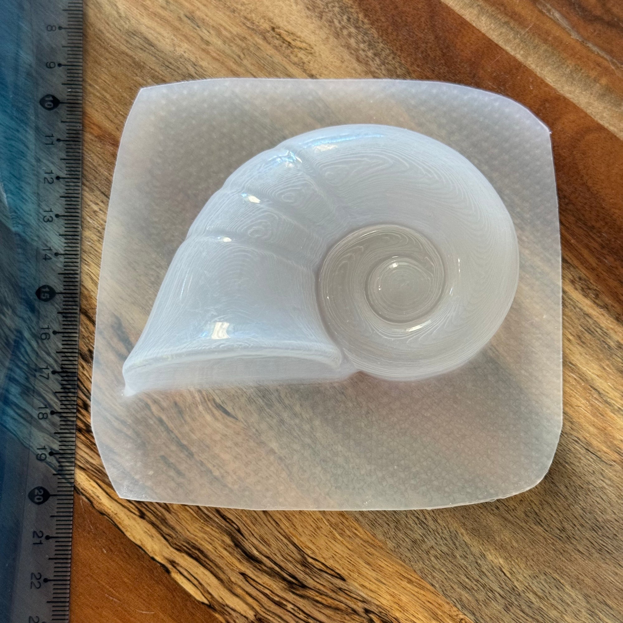Sea Shell Mould #32