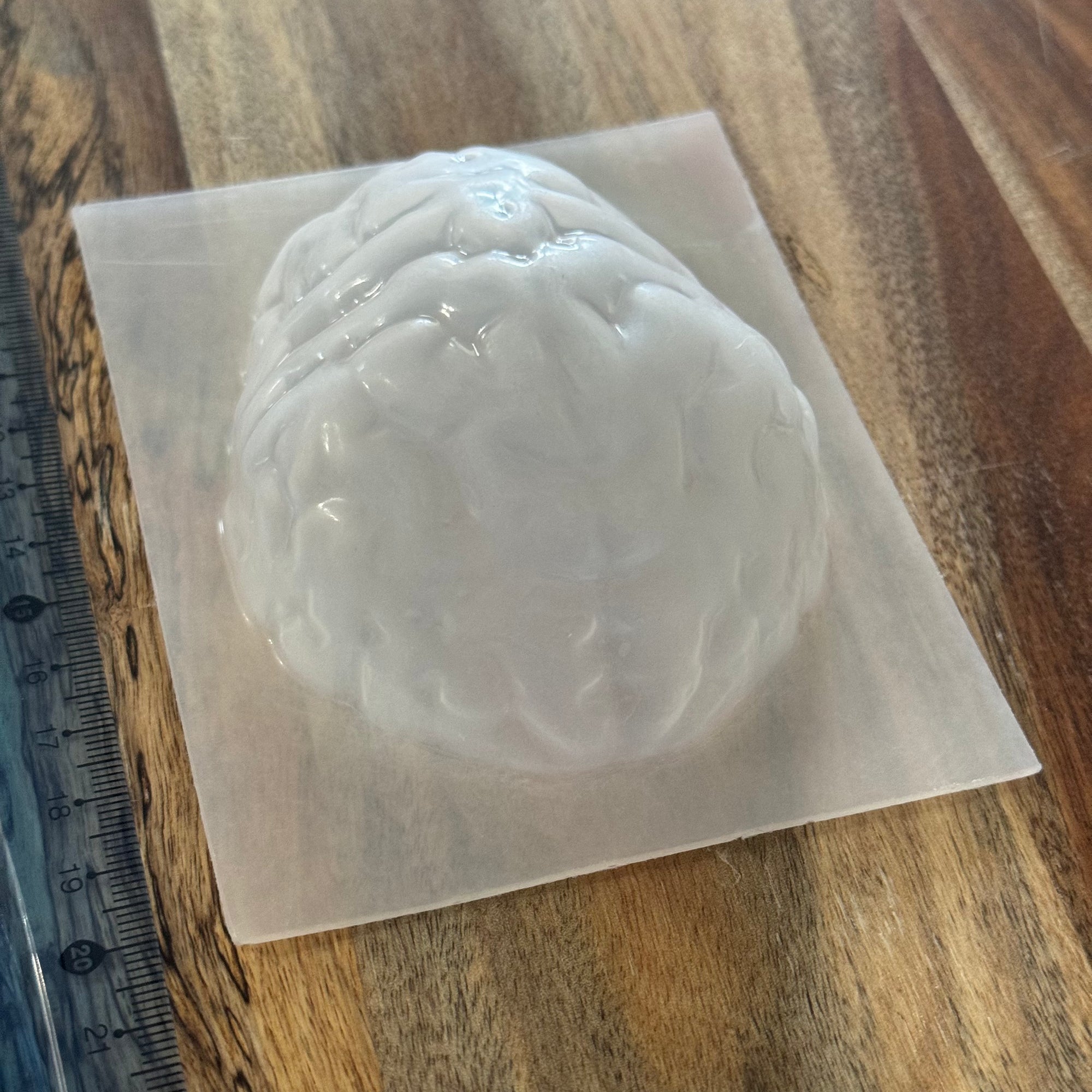 Brain Mould #158