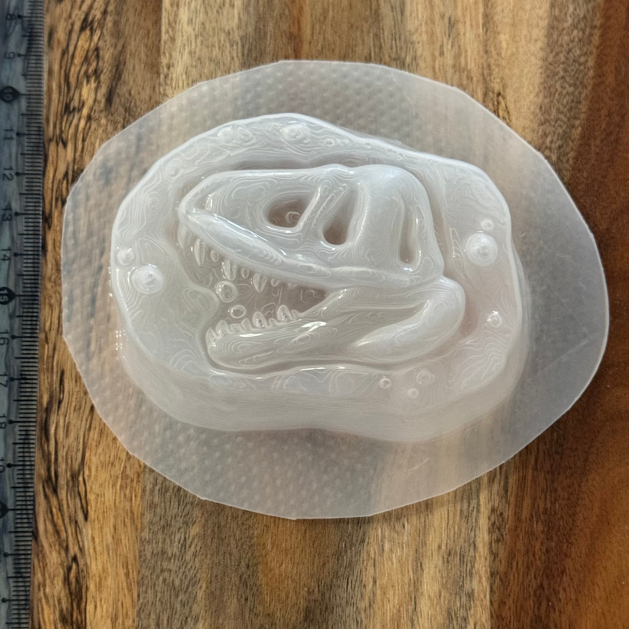 Dino Fossil Mould #179