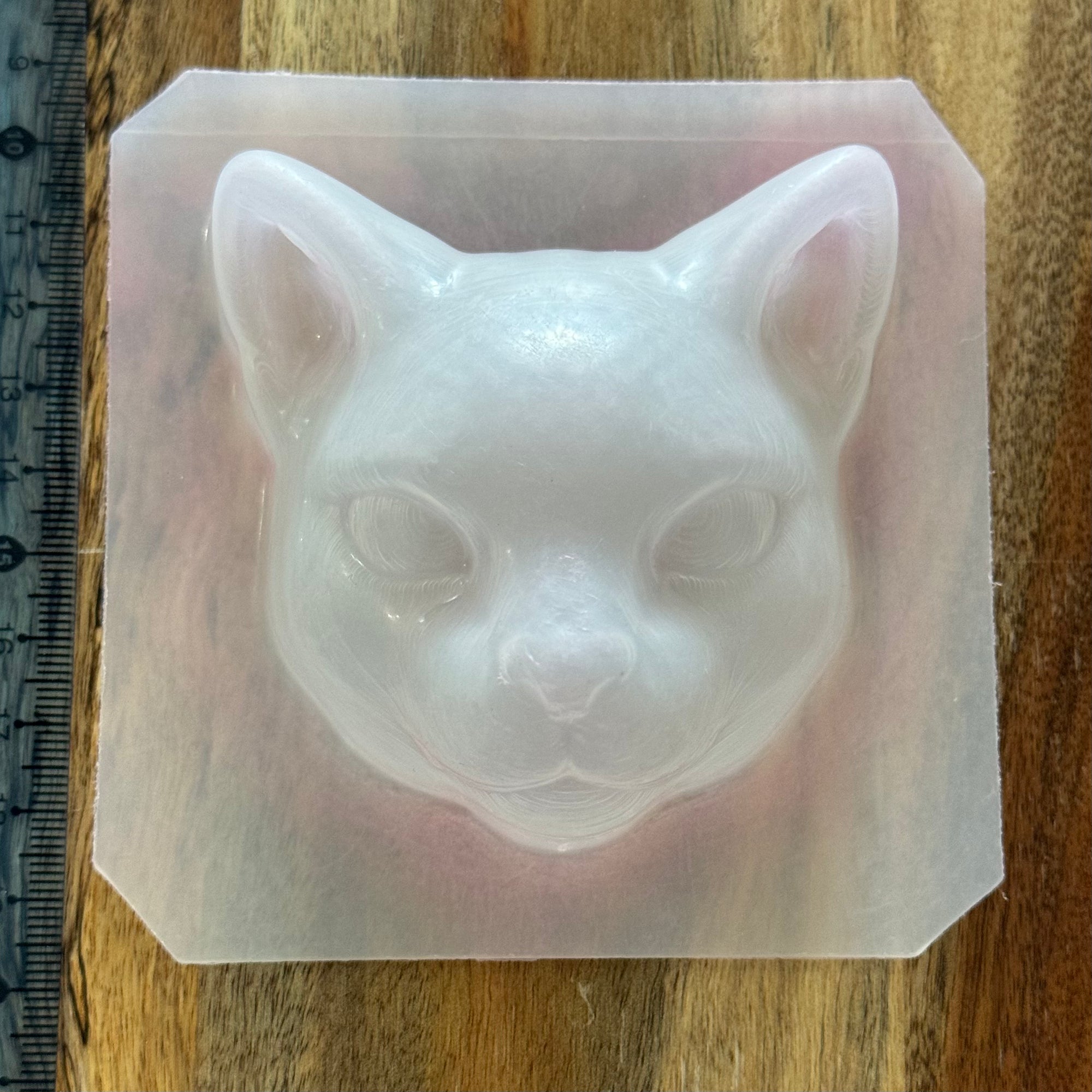 Cat Mould #194