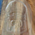 Toad lucky block Mould #118