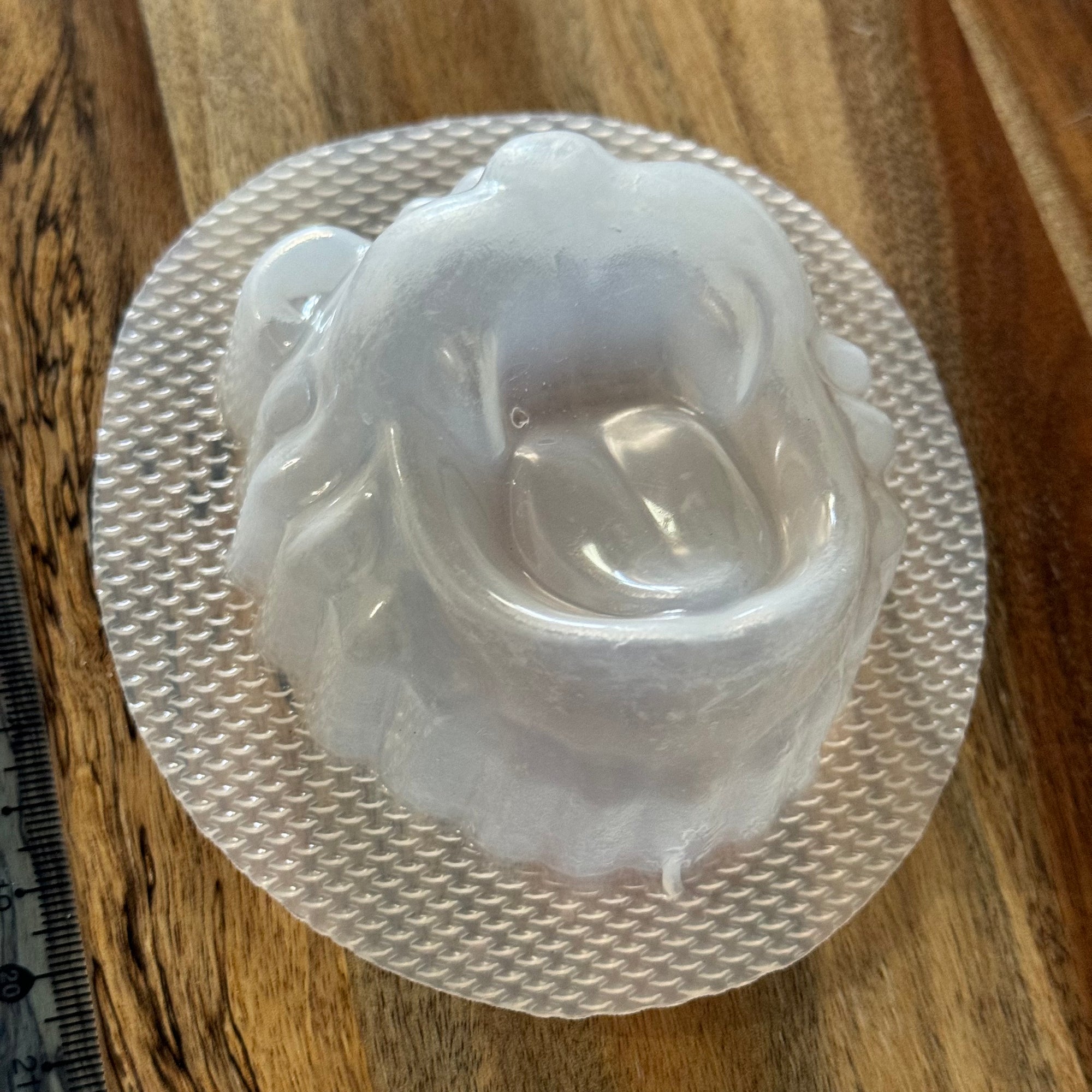 Lion Mould #212