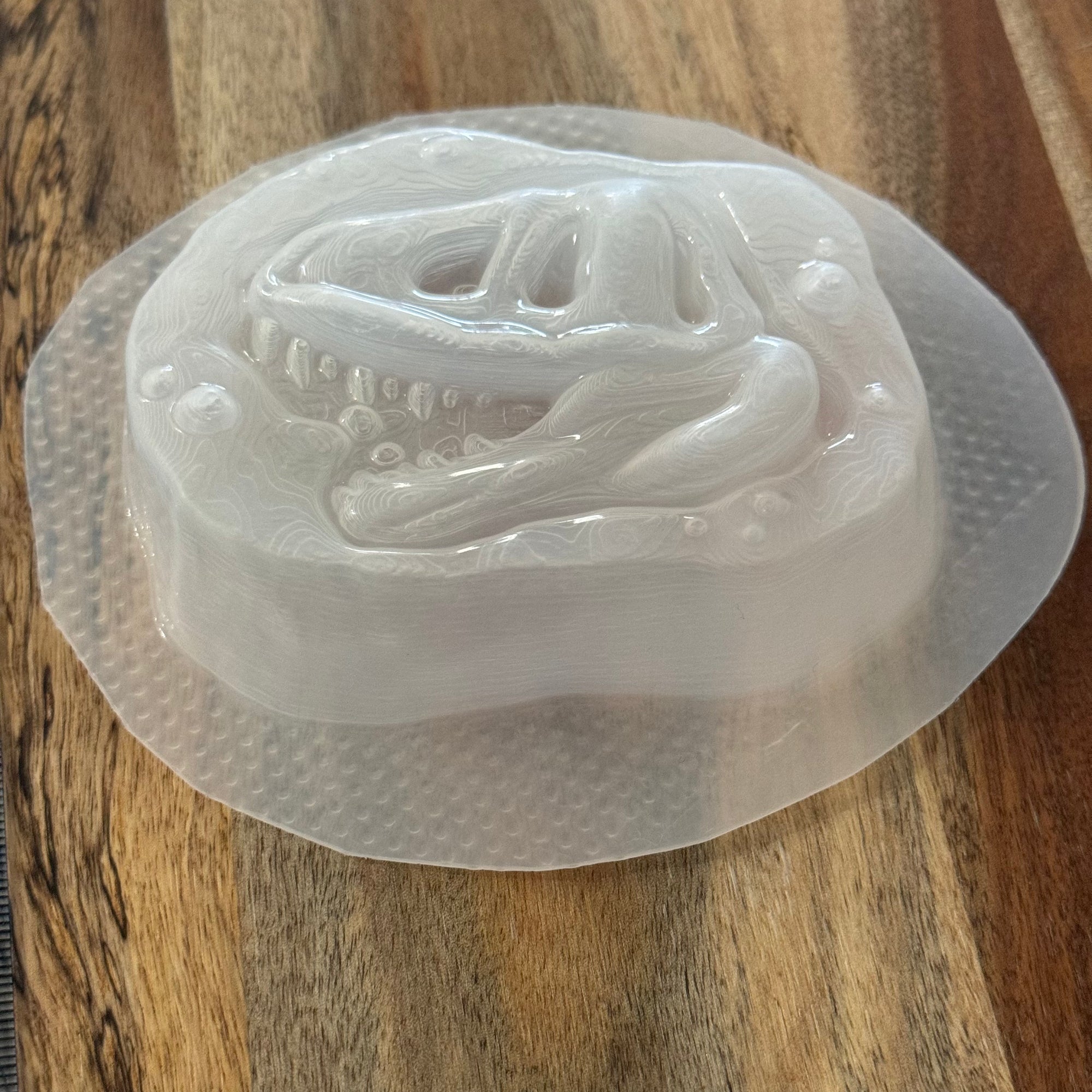 Dino Fossil Mould #179