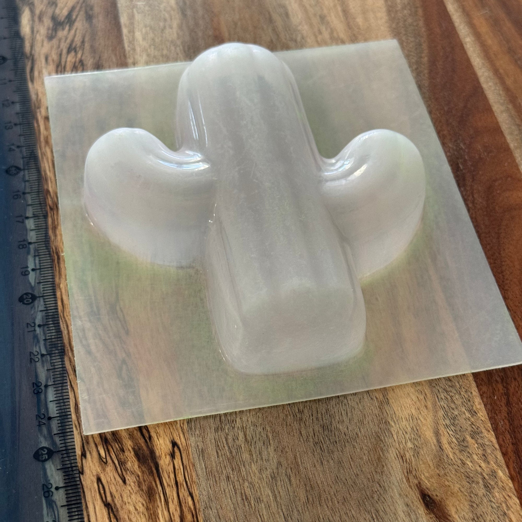 Cactus Mould #245